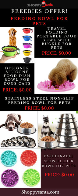 Title: The Advantages of Silicone Pet Food Bowls